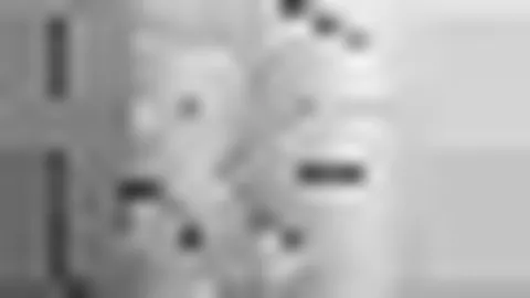 [高尔夫]威士伯佛罗里达赛事续签合作，新任主席上任不变